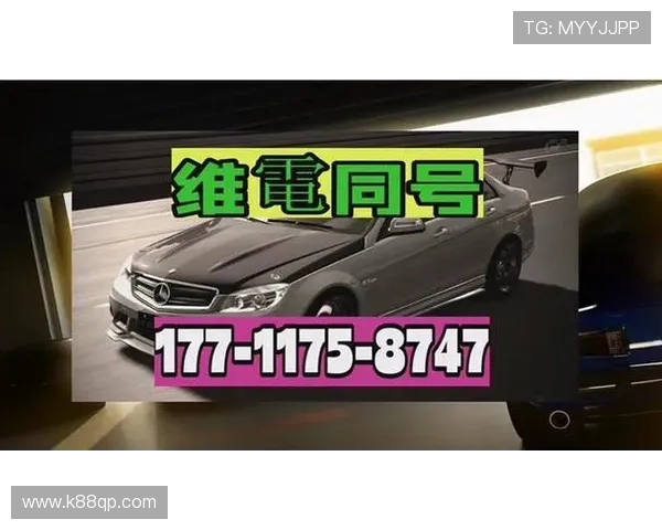 欧博包杀网一比一：一比一包杀技术在游戏防作弊中的关键作用与应用实例